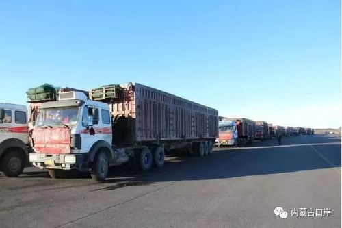 滿都拉口岸進(jìn)出口報(bào)關(guān)貨物首次突破300萬(wàn)噸
